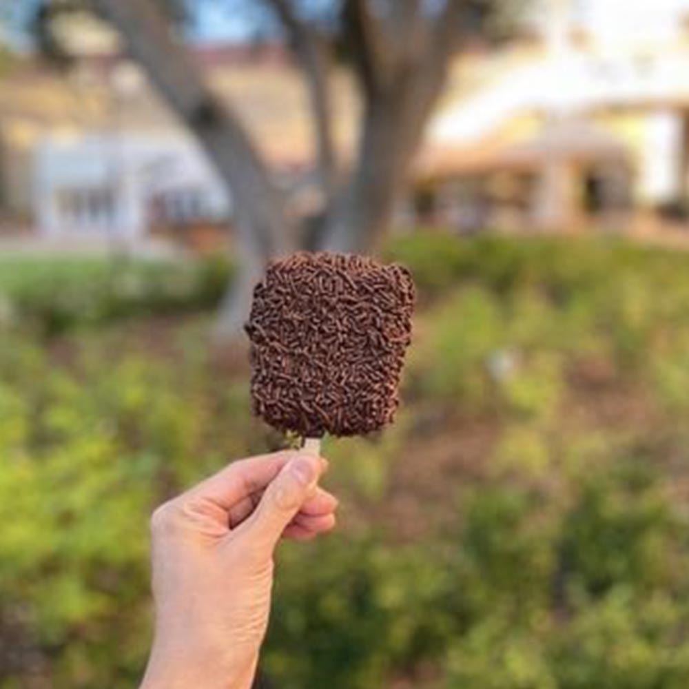 chocolate & yogurt_0000s_0005_z4704490087616_cb4a87d6e77da17c07f219c995c80839